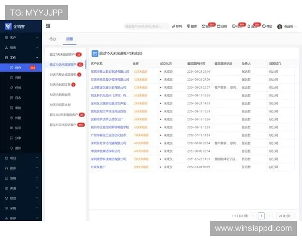皇冠电子视讯网站在移动端的使用体验与优化分析