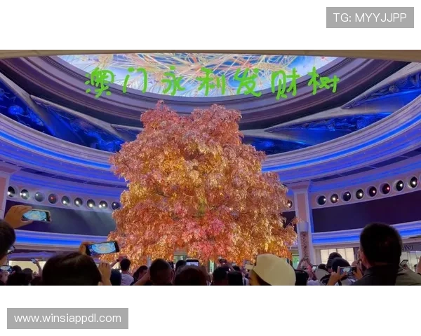 永利澳门发财树的文化背景与象征意义，了解更多财富寓意