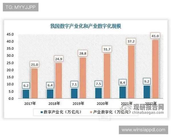 大阳城数字站在行业中的发展现状与未来发展趋势分析