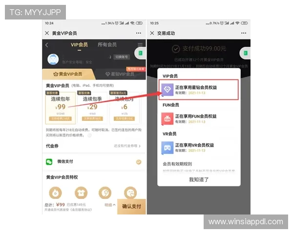 新澳门VIP会员如何快速提升等级，享受更多专属特权与优惠